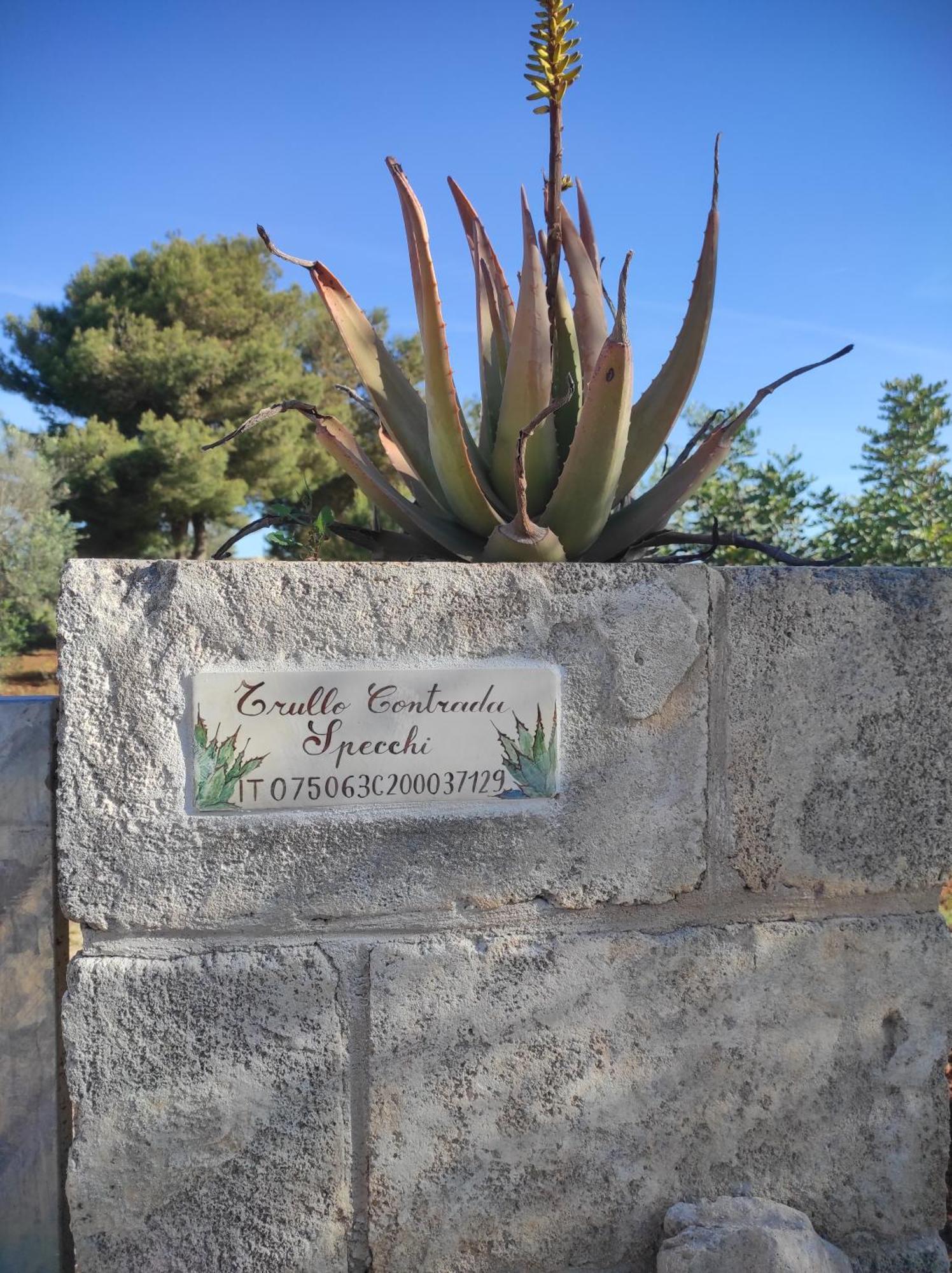 Trullo Contrada Specchi Racale Exterior foto