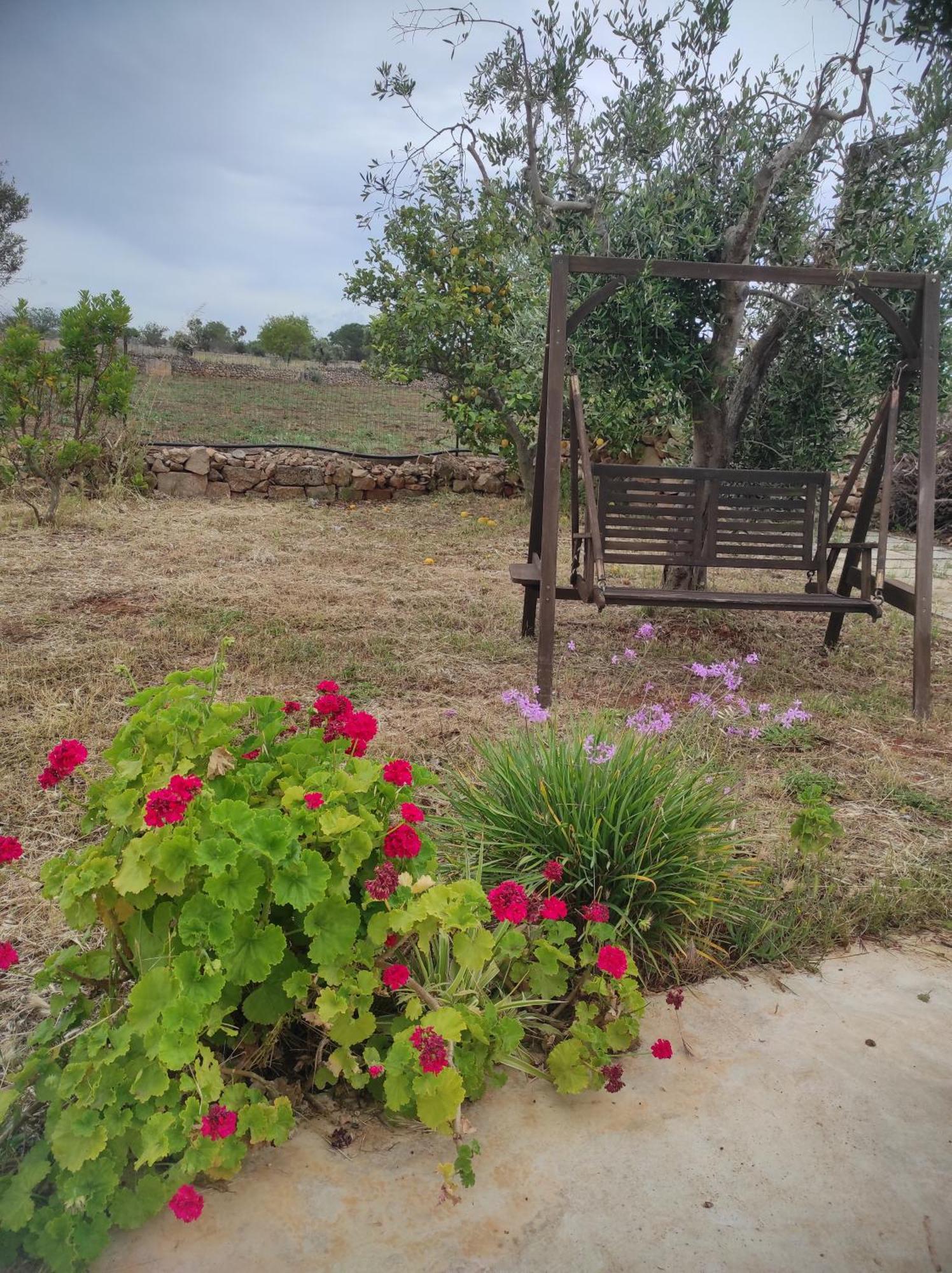 Trullo Contrada Specchi Racale Exterior foto